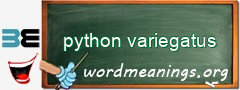 WordMeaning blackboard for python variegatus